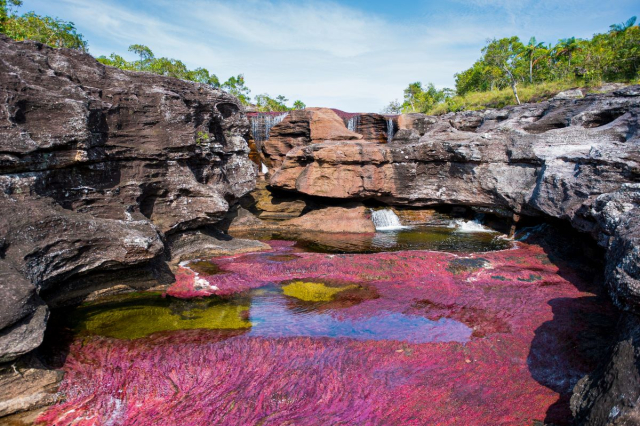 caño cristales destinos emergentes 3