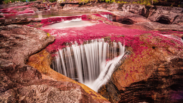 caño cristales destinos emergentes 4