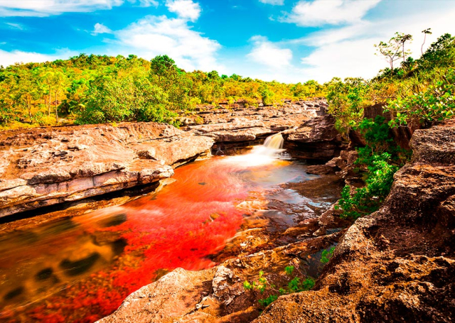 Caño Cristales: el río de los cinco colores que encanta al mundo