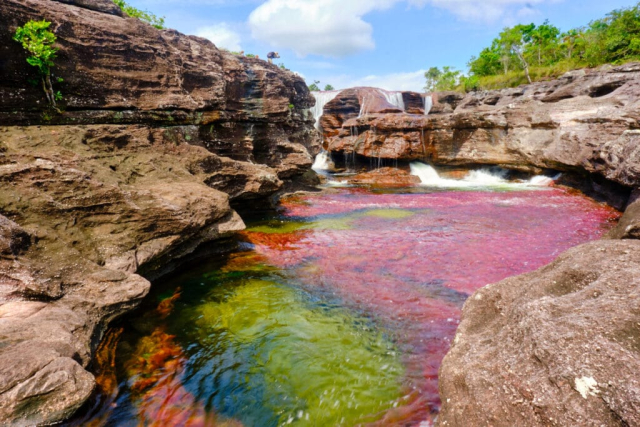 caño cristales destinos emergentes 5