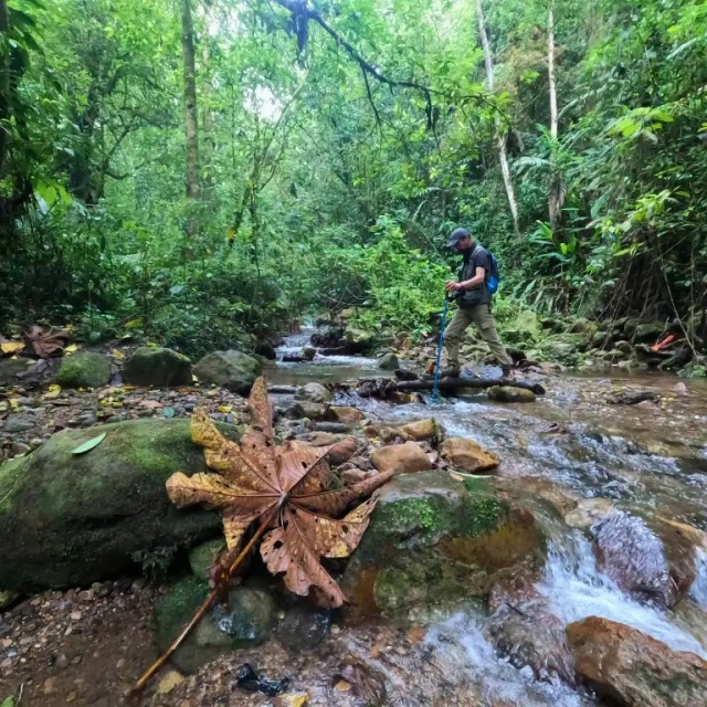 tambo destinos emergentes 4