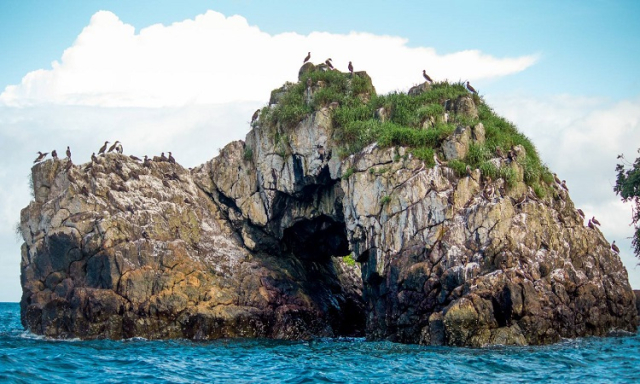 isla gorgona guapi 4