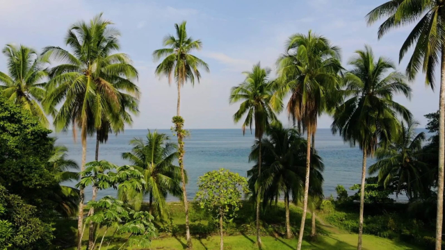 isla gorgona guapi 5