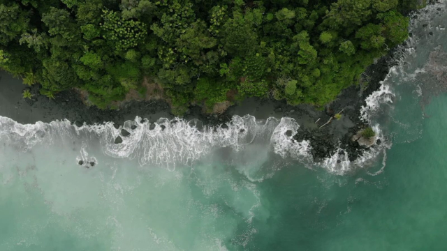 Isla Gorgona desde Guapi: un paraíso de naturaleza e historia