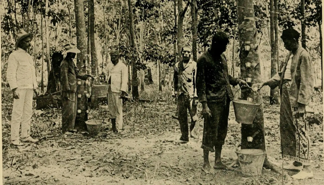 La Fiebre del Caucho