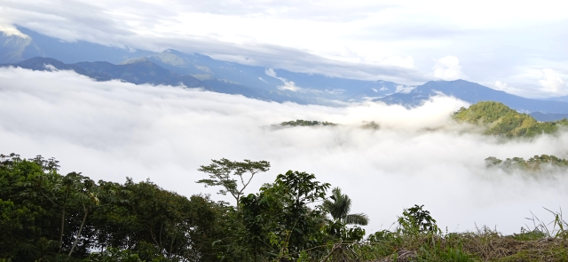 Apreciación de la Biodiversidad en la Sierra Nevada