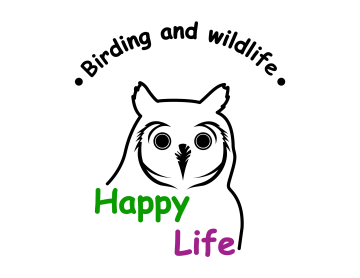 Happy Life Tours