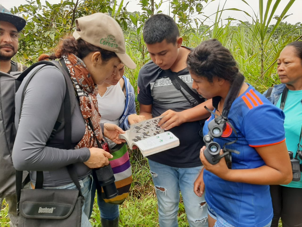 Proyecto para el Fortalecimiento de la Ruta Urbana de Avistamiento de Aves en Puerto Asís, Putumayo. Torre de Observación Oropéndola: Más Cerca de las Aves.