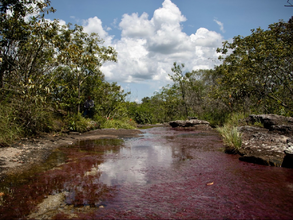 Caño Cristales la Macarena