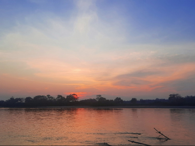 Navega el Río Ariari y descubre una parte del hogar de las toninas