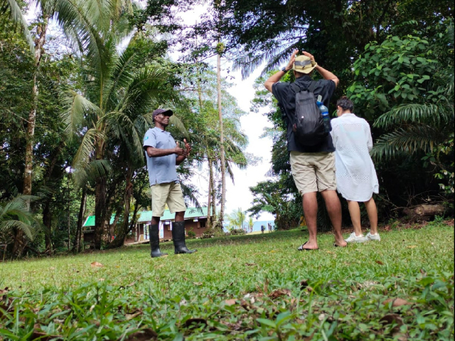 Experiencia Pacífico: 3 días y 2 noches los cantos de la selva y Gorgona