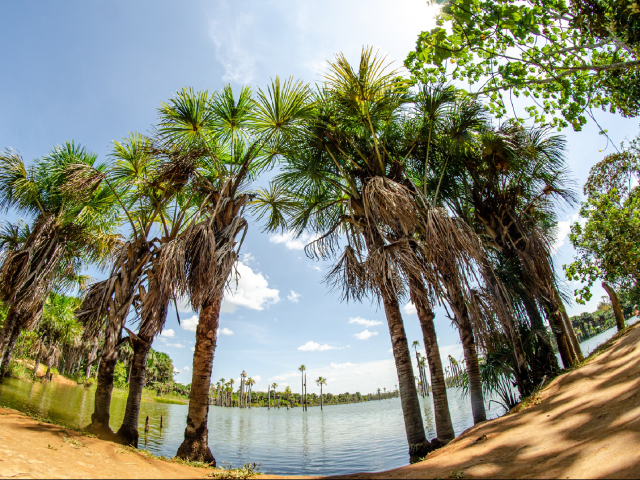 Conoce Puerto Rico, el municipio de las lagunas, en 4 días y 3 noches