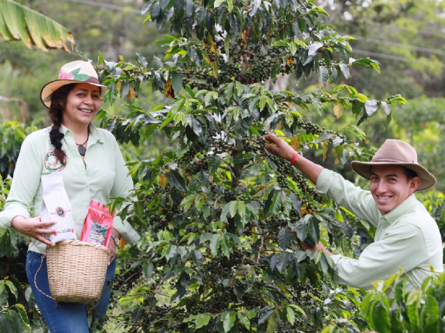 FINCA AGROTURÍSTICA CAFÉ ZENAIDA