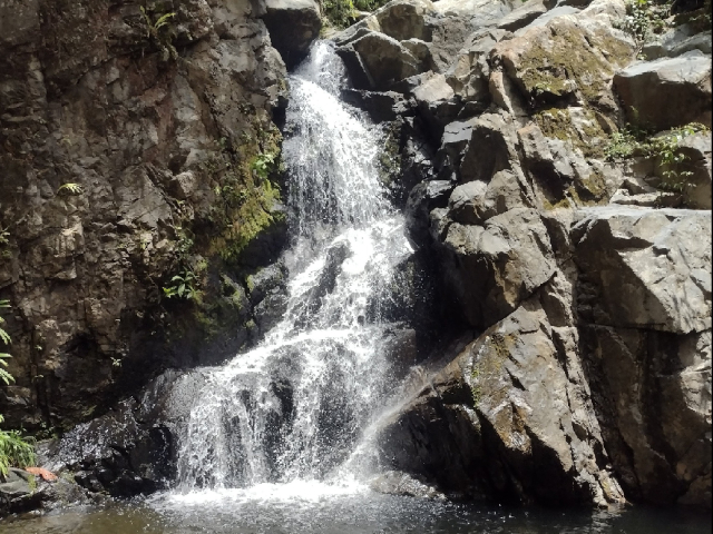 Saberes de la naturaleza 2