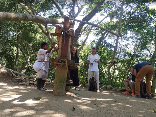 Respira Tayrona