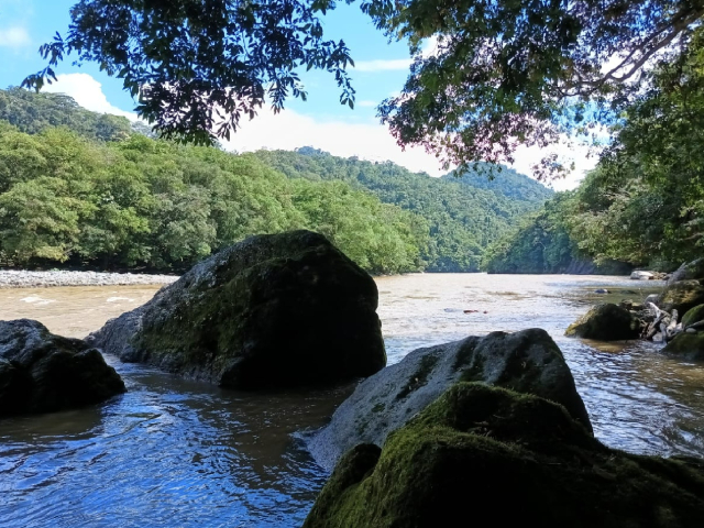 ASOCIACIÓN PUTUMAYO BIODIVERSO- FINCA BIODIVERSA