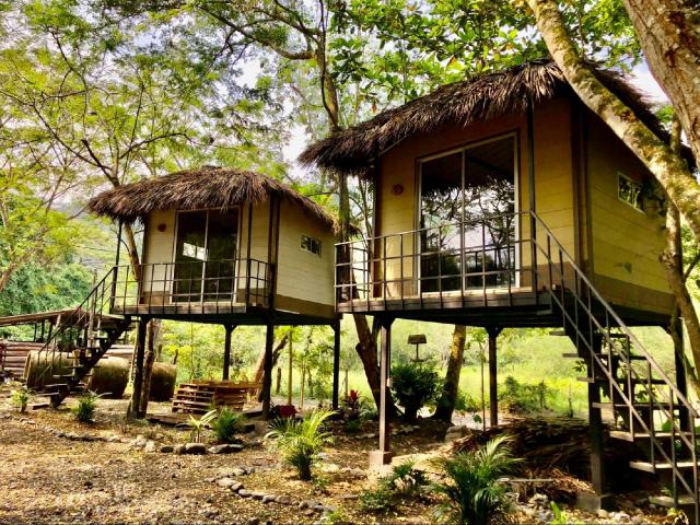 Avistamiento de aves y Hospedaje en Highping