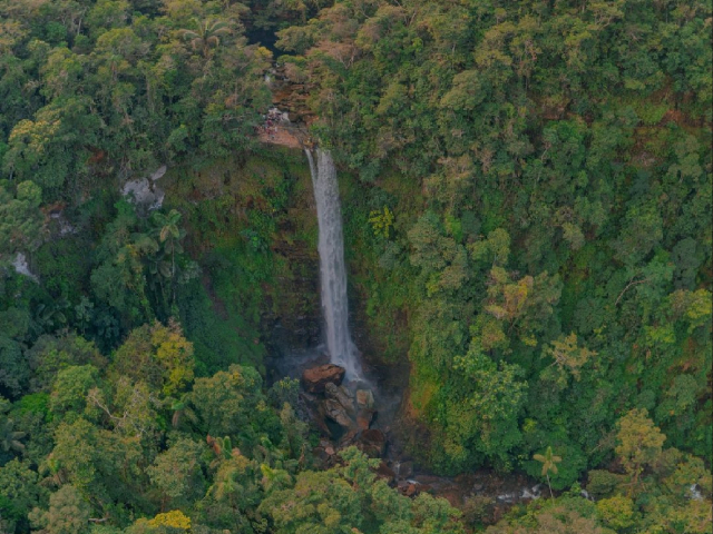 El agua moldeando tu vida