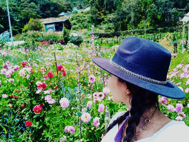 Conexión de la ciudad al campo