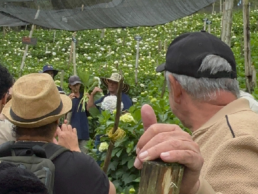 Agroturismo