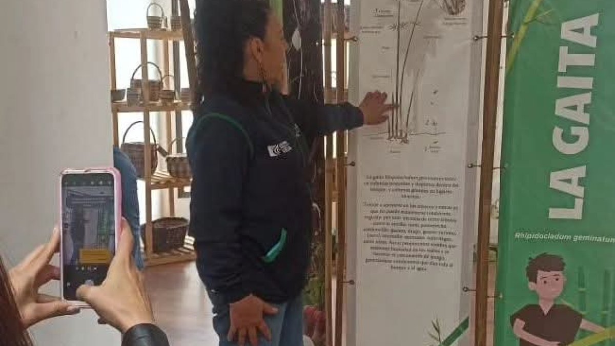 FOTO 01 (5)