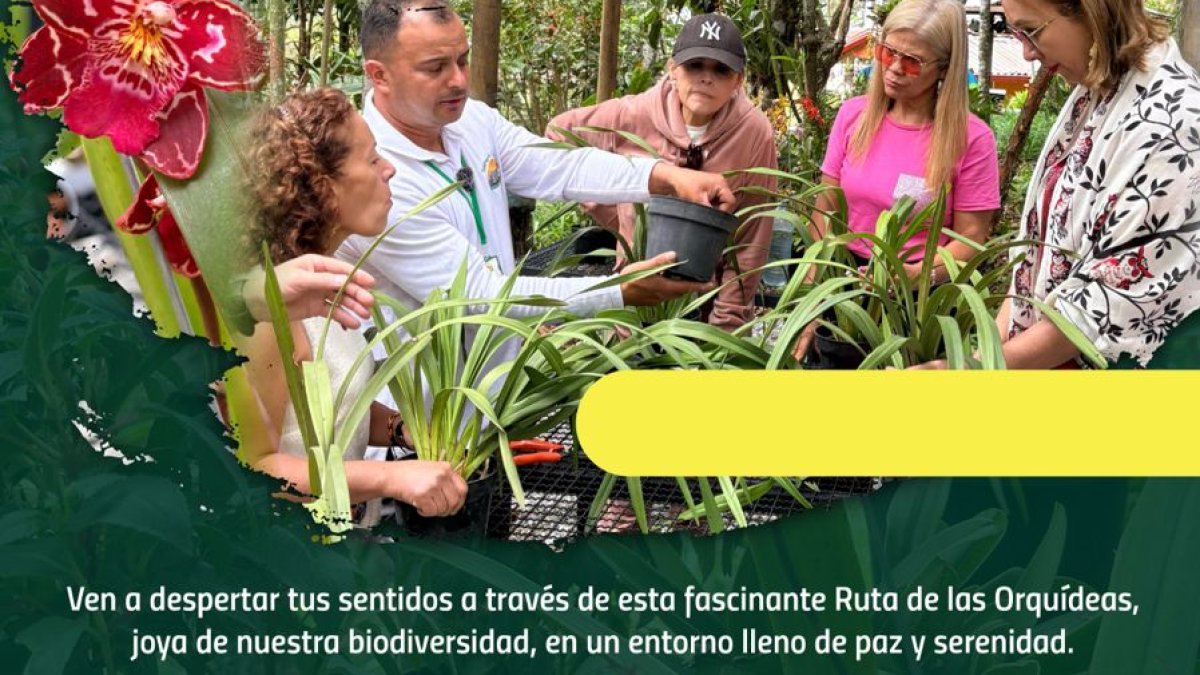 FOTO 04