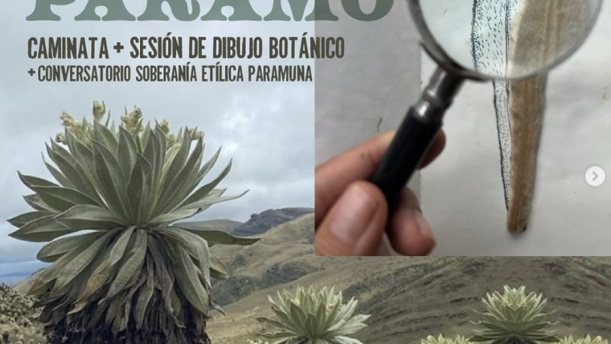 FOTO 02 (15)