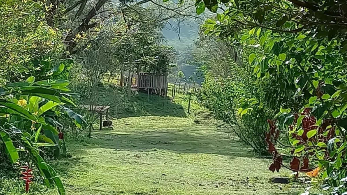 FOTO 02 (13)