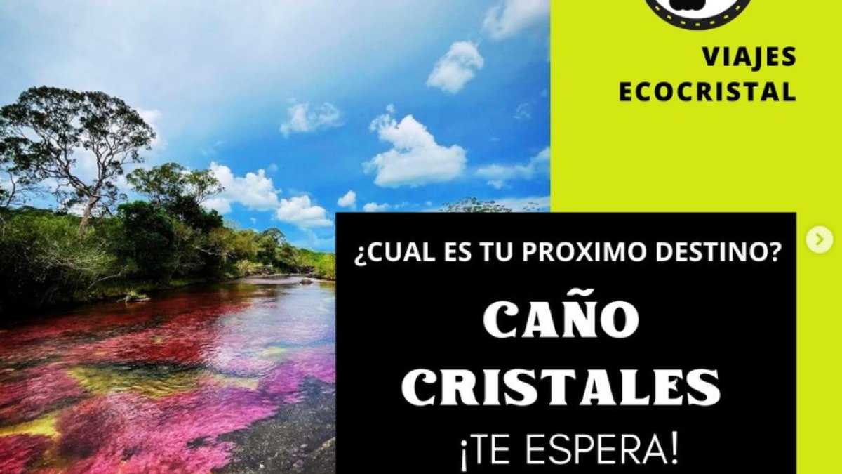 FOTO 03 (3)