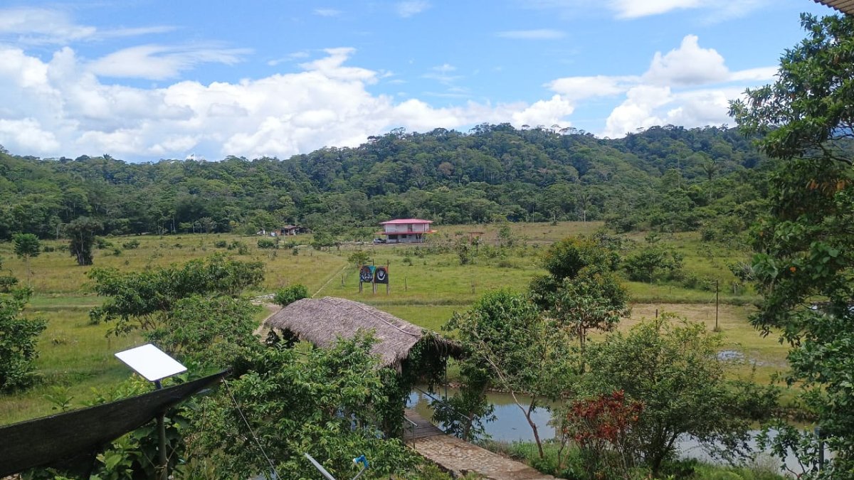 FOTO 01 (2)