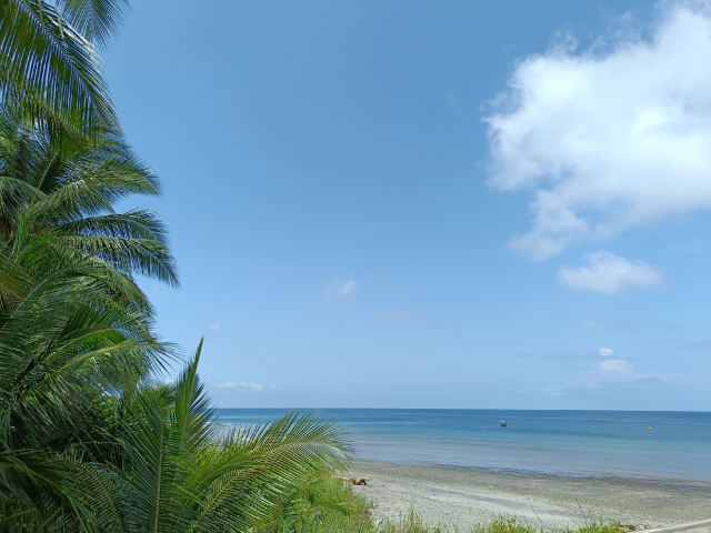 Guapi: Cantos de Mar y Rio con Pasadía a Gorgona. 4 días, 3 noches