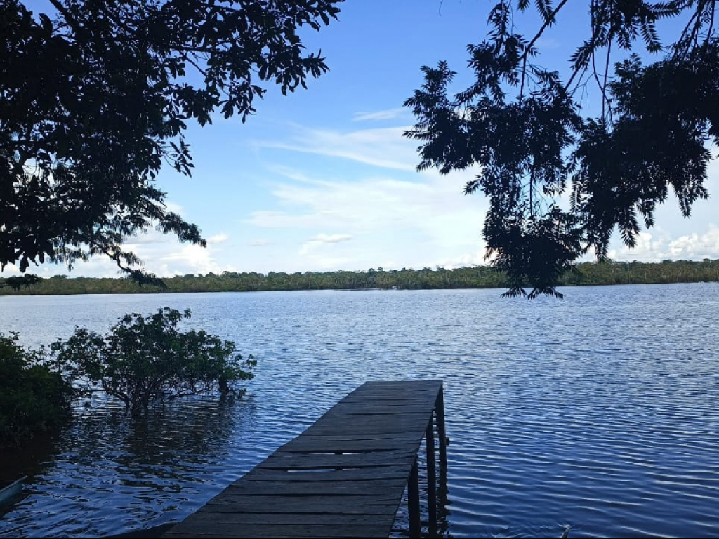 EXPEDICIÓN DE VIDA SILVESTRE ENTRE LA AMAZONÍA Y LA ORINOQUÍA. 3 DÍAS, 2 NOCHE.