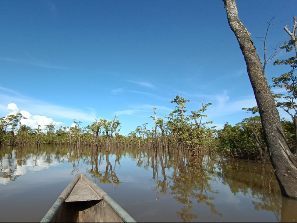 EXPEDICIÓN DE VIDA SILVESTRE ENTRE LA AMAZONÍA Y LA ORINOQUÍA. 3 DÍAS, 2 NOCHE.