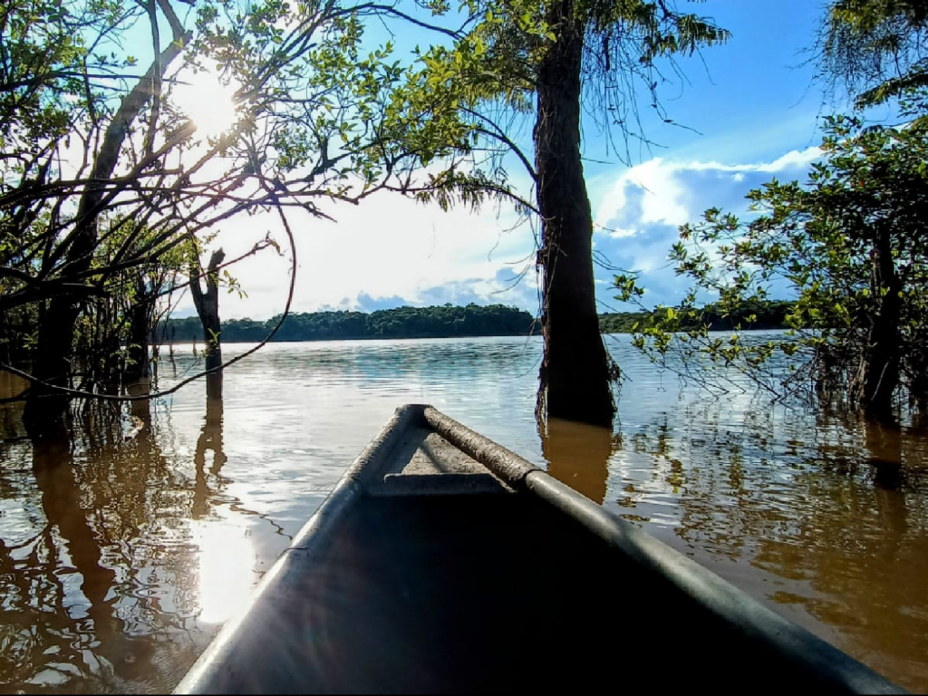 EXPEDICIÓN DE VIDA SILVESTRE ENTRE LA AMAZONÍA Y LA ORINOQUÍA. 3 DÍAS, 2 NOCHE.