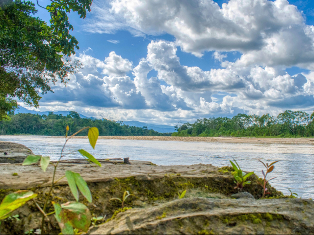 EXPEDICIÓN DE VIDA SILVESTRE ENTRE LA AMAZONÍA Y LA ORINOQUÍA. 3 DÍAS, 2 NOCHE.