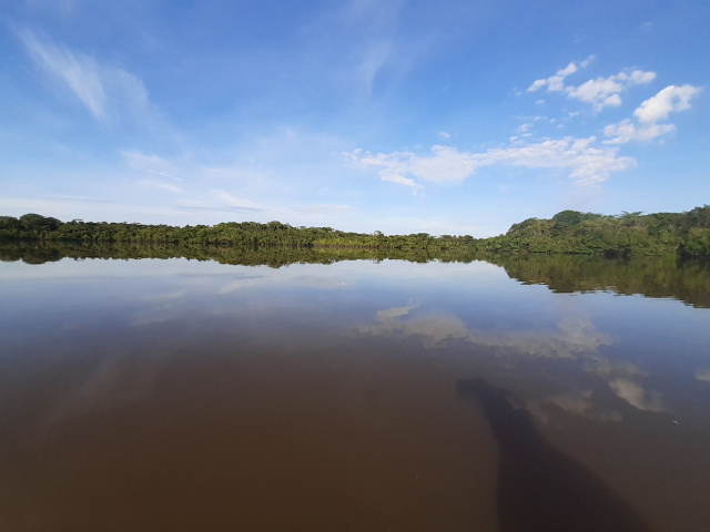 RECORRIDO TOUR DE MEMORIA HISTÓRICA Y LAGUNA MADROÑO. PASADÍA.