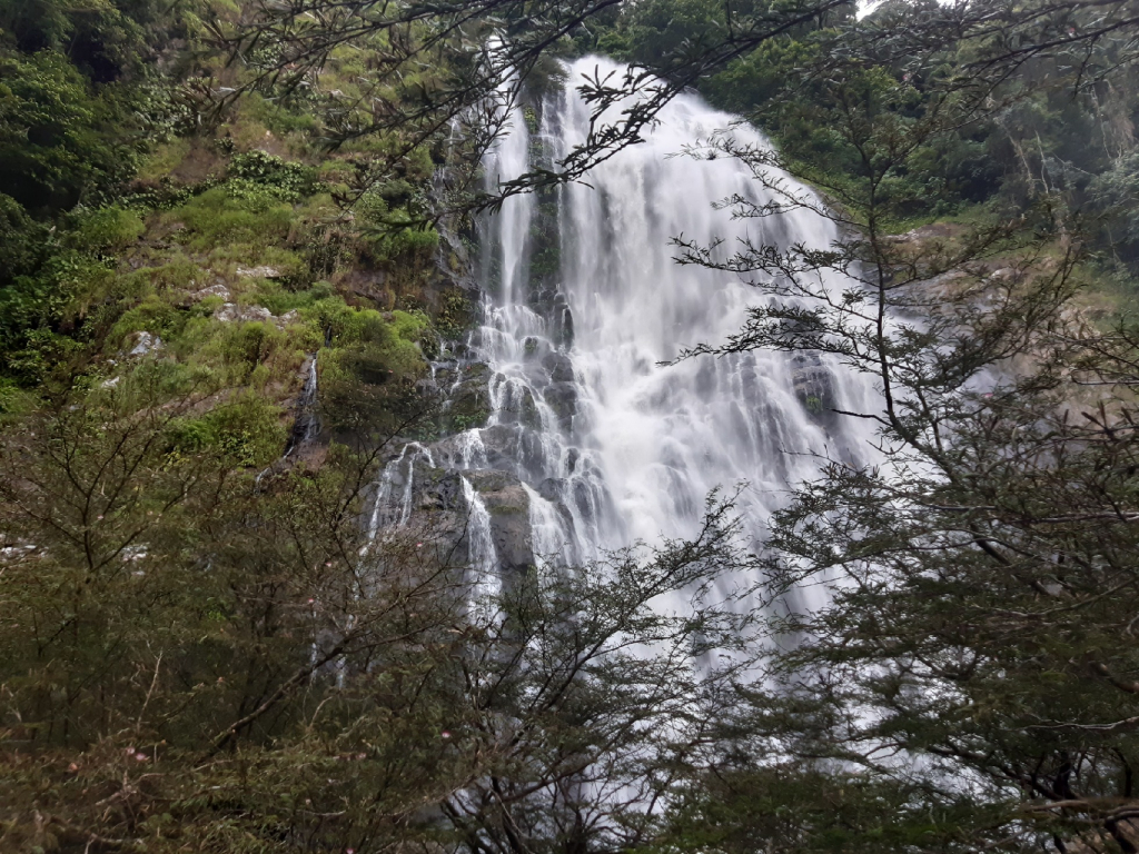 SENDERISMO CASCADA CAÑO UNÓN. PASADÍA.