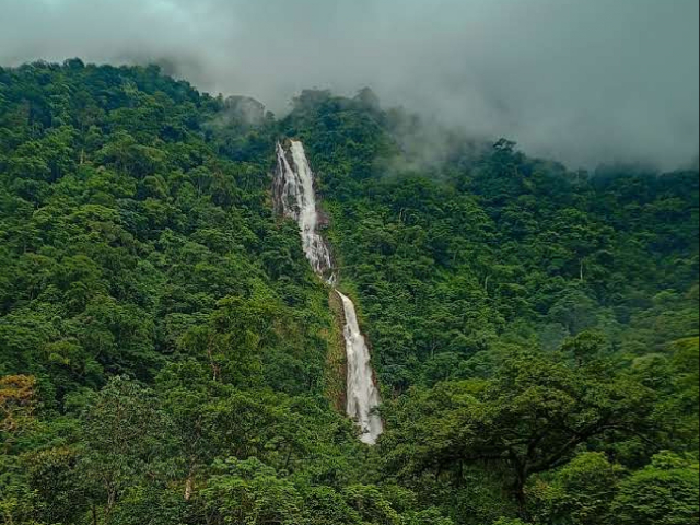 SENDERISOMO A CASCADAS EN VISTA HERMOSA.  3 DÍAS, 2 NOCHES