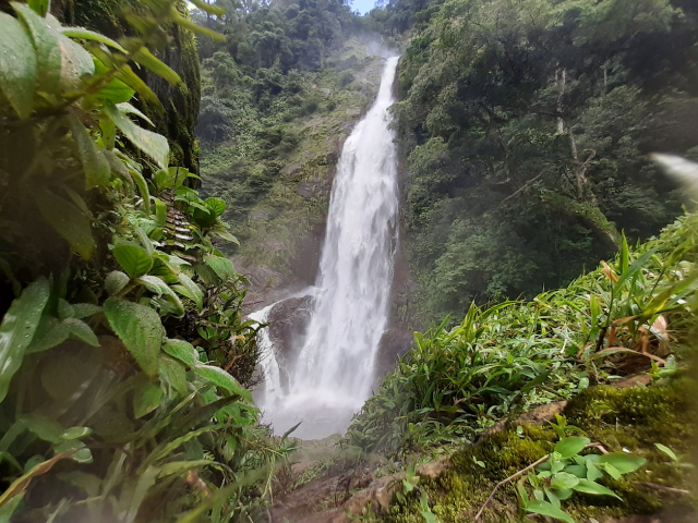 SENDERISOMO A CASCADAS EN VISTA HERMOSA.  3 DÍAS, 2 NOCHES