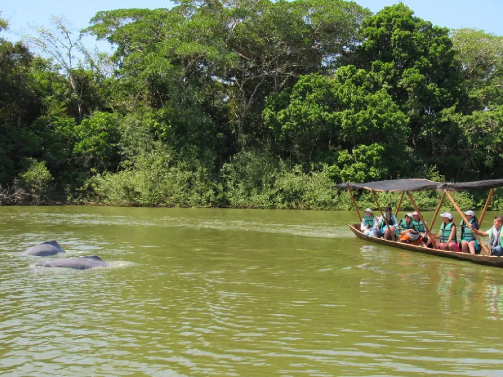 EXPERIENCIA 2 – LAGUNA DAMAS DE NARE – AVISTAMIENTO DE DELFINES