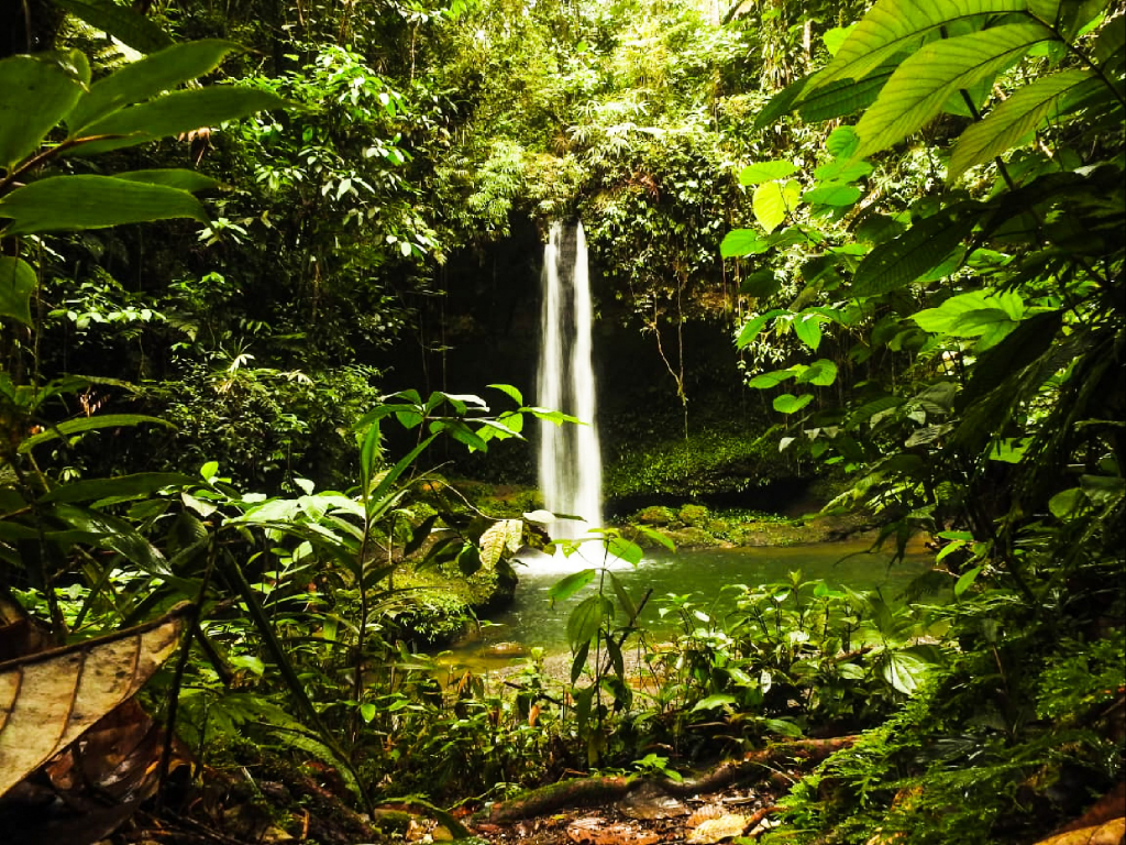 Selva Magica en Putumayo