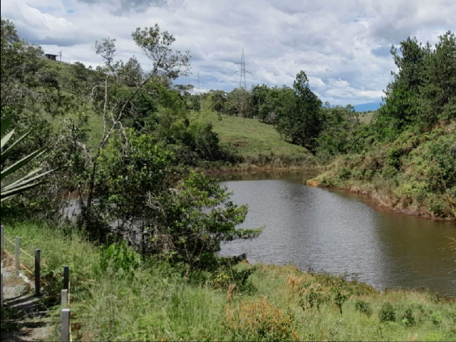 Finca  agroturística Ebenezer - laguna cruz de oro