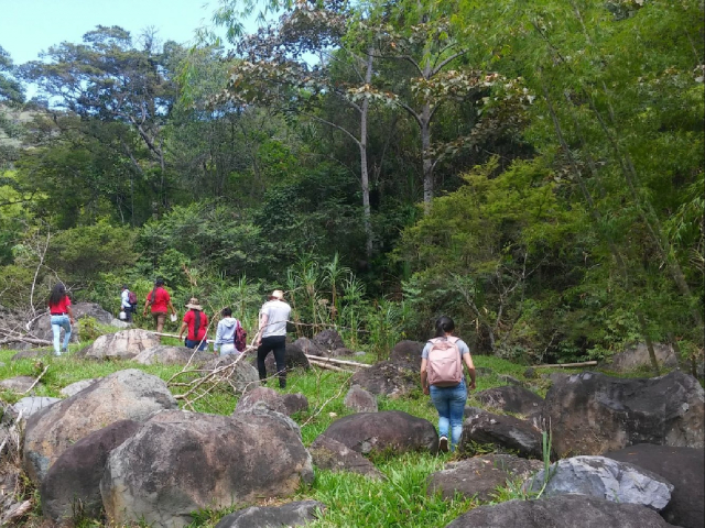 Ruta del chontaduro