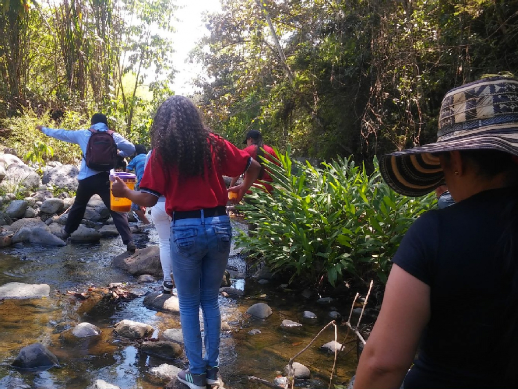 Ruta del chontaduro