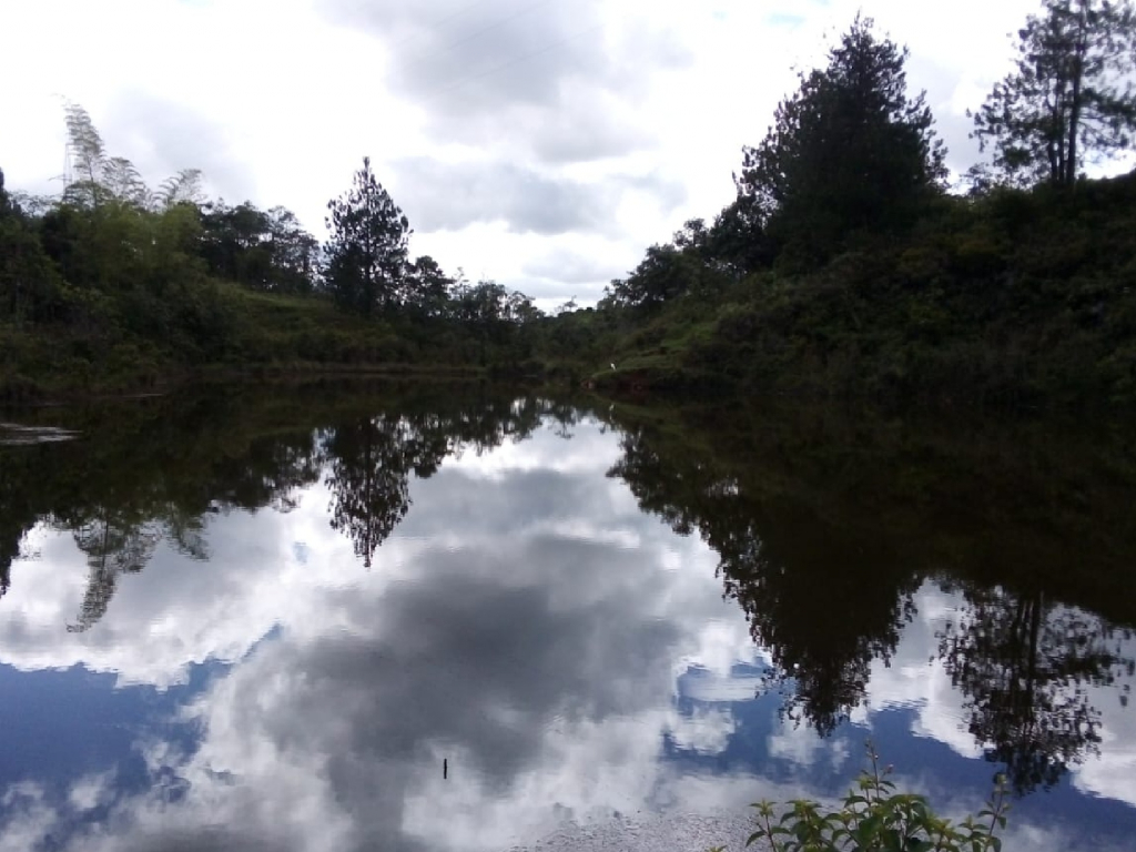 laguna cruz de oro