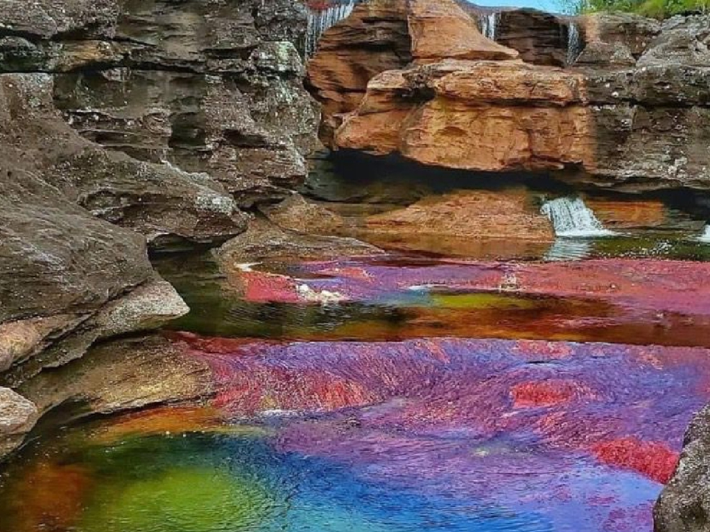 VIAJA A CAÑO CRISTALES