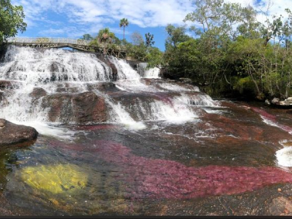 VIAJA A CAÑO CRISTALES