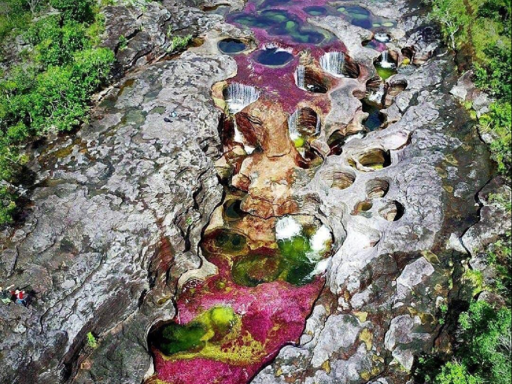 VIAJA A CAÑO CRISTALES