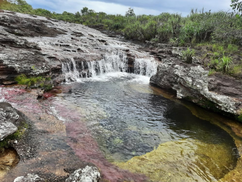 CAÑO CRISTALES ECOTOUR