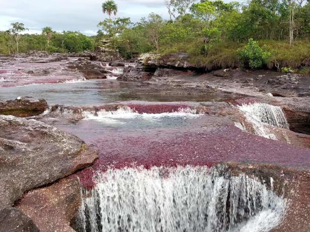 CAÑO CRISTALES ECOTOUR